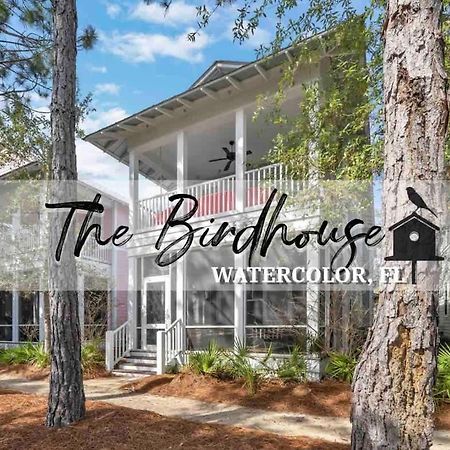 Willa The Birdhouse In Luxury Watercolor Brand New 6 Seat Golf Cart Santa Rosa Beach Zewnętrze zdjęcie
