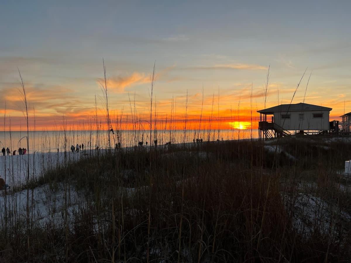 Willa The Birdhouse In Luxury Watercolor Brand New 6 Seat Golf Cart Santa Rosa Beach Zewnętrze zdjęcie